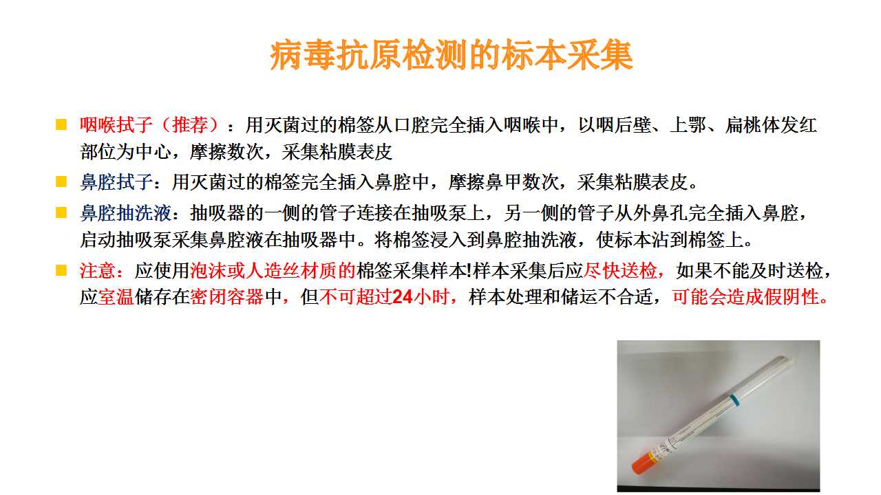 呼吸道.jpg
