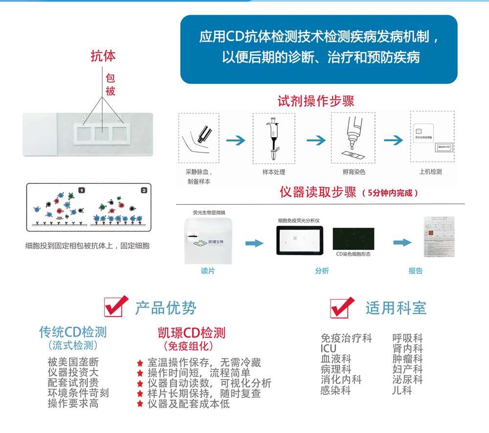cd检测.jpg